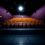Photo Image: Theater audience Nouns: Beau, fear, showtimes, theater, audience
